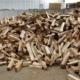 Eastern Shore Forest Products - Splitting & Heat Treating